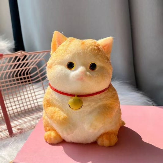 British Shorthair Golden Shaded