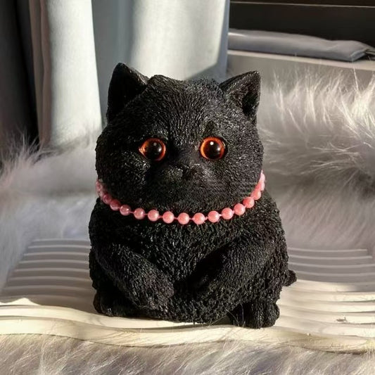 British Shorthair Golden Shaded