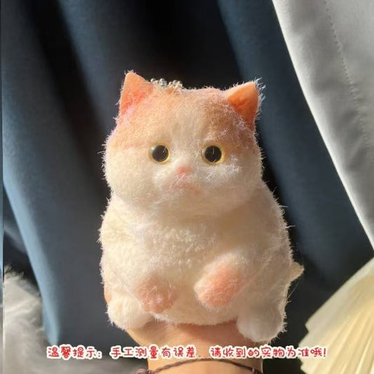 British Shorthair Golden Shaded